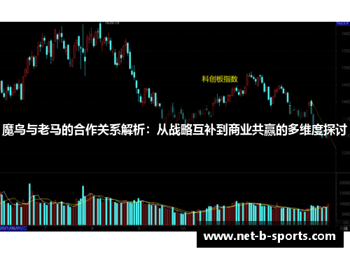 魔鸟与老马的合作关系解析：从战略互补到商业共赢的多维度探讨