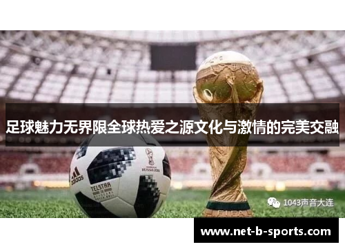 足球魅力无界限全球热爱之源文化与激情的完美交融