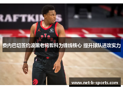 费内巴切签约波黑老将哲科为锋线核心 提升球队进攻实力