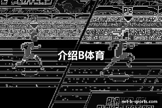 介绍B体育